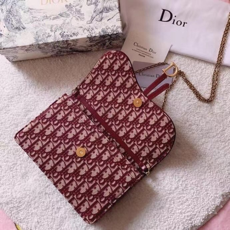 D*or trotter saddle shoulder bag