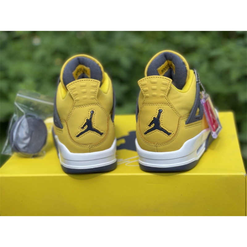 Air Jordan 4 RETRO CT8527 700 Sneakers Men Women