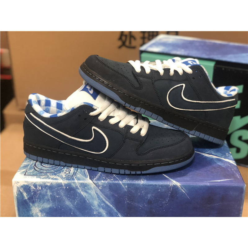 Nike SB Dunk Low Sneakers Men Women